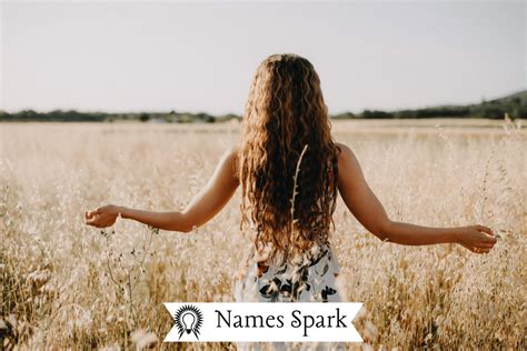 250 Cool And Funny Nicknames For Gun Names Spark