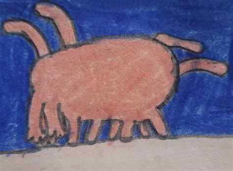 Sea Pig By Adamnofal On Deviantart