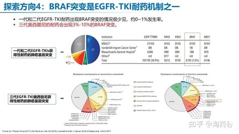 Braf V600e突变非小细胞肺癌全程管理 知乎