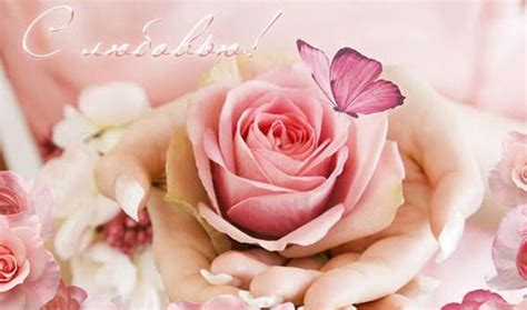 Открытки поздравительные купить в Ташкенте