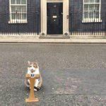 Larry The Cat Meme Generator Imgflip