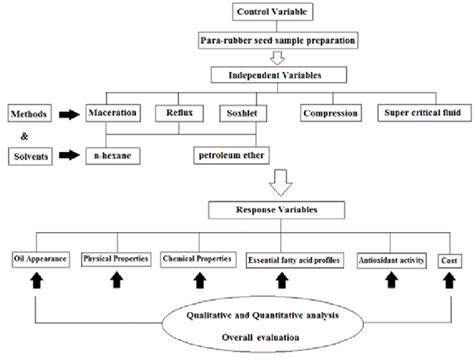 The Conceptual Framework Of Experimental Data Design Download Scientific Diagram