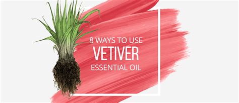 8 Ways To Use Vetiver Essential Oil Lindsey Elmore