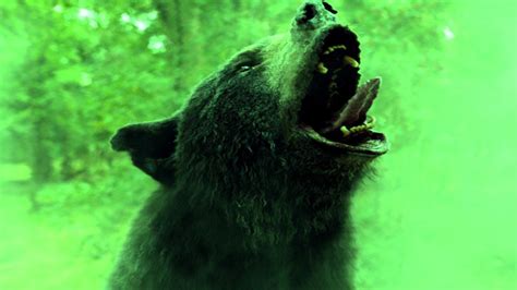 10 Best Animal Attack Movies to Watch If You Liked Cocaine Bear