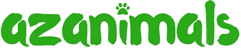 Indri Description Diet Habitat And Facts Az Animals