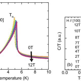 A Temperature Dependence Of C T Under Several Magnetic Fields At