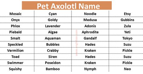 List Of Pet Axolotl Names In English Englishan