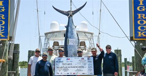 Fishermen Lose $3.5M Prize When 600-Pound Marlin Disqualified | Total News