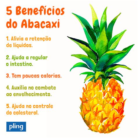 Abacaxi É Muito Calórico - Quantas Calorias Tem Uma Fatia De Abacaxi - RETOEDU
