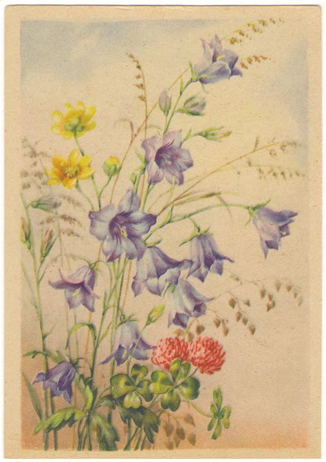 Открытка "Полевые цветы" Период создания: 1947 г. | Painting, Art