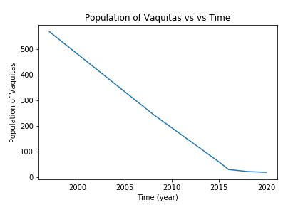 From thousands to less than twenty: illegal fishing causes Vaquita