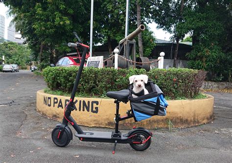 Took my dog for his first scoot. : r/ElectricScooters