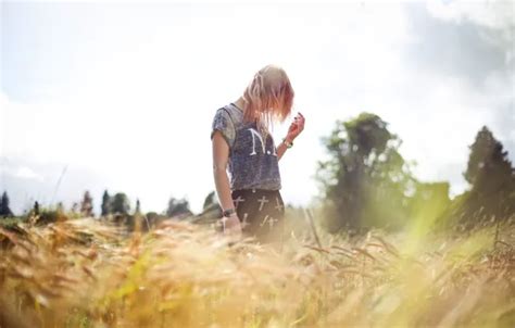 Wallpaper Field Grass Trees Blonde Grass Trees Field Bokeh For