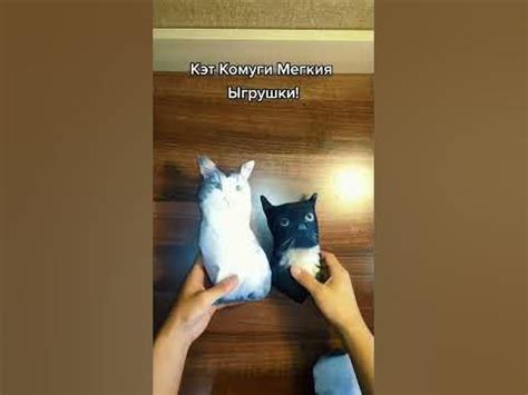 Кот Комуги, Мягкая игрушка #озон #комару #комуги #эльгато #чмоня # ...