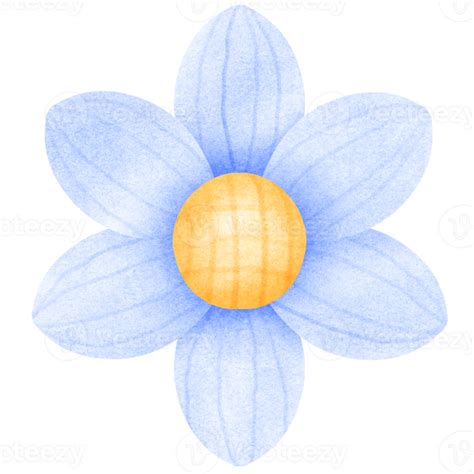 Little Blue Flowers 55068457 PNG