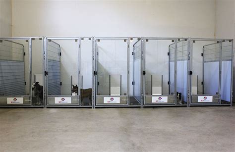 The K9 Kennel Store Tempered Glass Kennel Door Provides A Luxurious