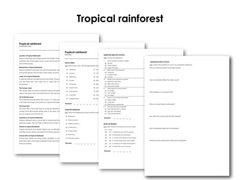Tropical Rainforest Made By Teachers