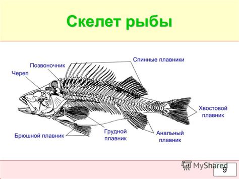 Презентация на тему: "Муниципальное автономное общеобразовательное ...