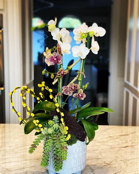 Orchid Arrangement By Fleurina Designs Wescover Floral Arrangements