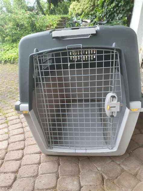 Hundetransportbox Kaufen Auf Ricardo