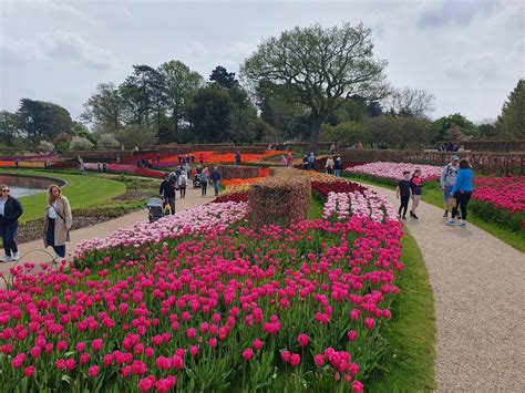 Happy Grand Loving From The Many Coloured Land Of Rhs Wisley Rjulianmay