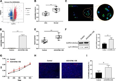 Frontiers Comprehensive Analysis Of Lncrna Ac Delays