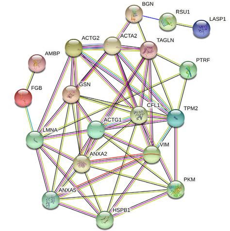 Protein Protein Interaction Maps Of The Differentially Expressed