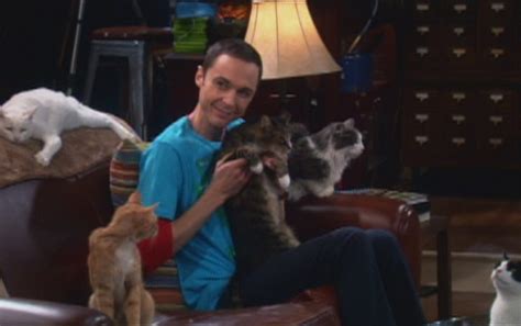 The Big Bang Theory The Zazzy Substitution Cinema Cats