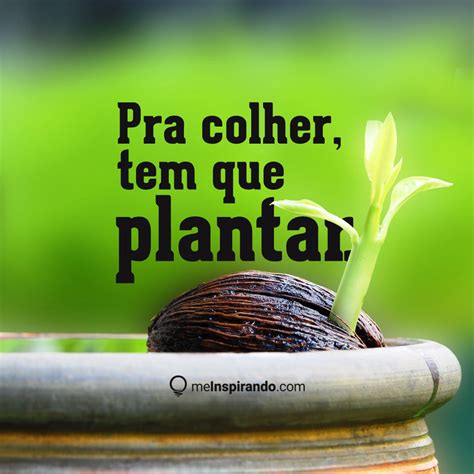 Reflexão Sobre Plantar E Colher - Pra colher, tem que plantar. #meInspirando #jeansouza #geraçãodevalor # ...
