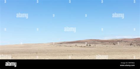 typical view   south  madagascar dry area stock photo alamy