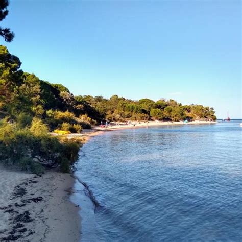 Les Portes En R Plage De La Patache Pr Sentation Et Avis Des