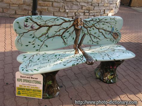bench photopicture definition  photo dictionary bench word