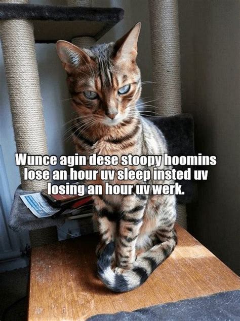 30 Funny Daylight Savings Memes To Spring Forward and Fall Back