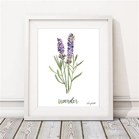 Лаванда постер (48 фото)