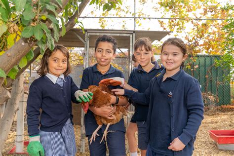 Alberton Primary School - Department for Education