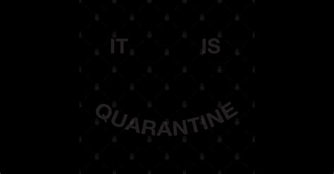 It Is Quarantine Babe Quarantine T Shirt TeePublic