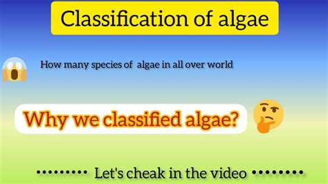 Important System Of Classification Of Algae Kumaununiversity Msc