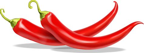 Hot Peppers Vector Images Over 42 000