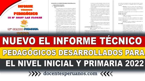 NUEVO EL INFORME TÉCNICO PEDAGÓGICOS DESARROLLADOS PARA EL NIEVL