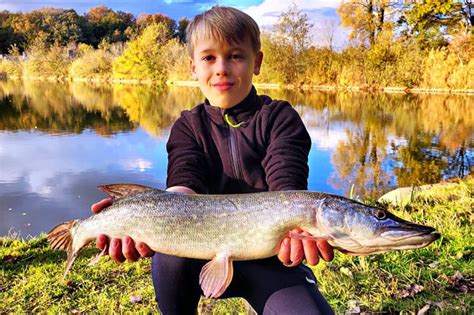 Maine Et Loire Samedi 30 Avril Ouverture De La Pêche Du Brochet Et