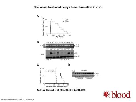 Myc sensitizes p53-deficient cancer cells to the DNA-damaging effects ...