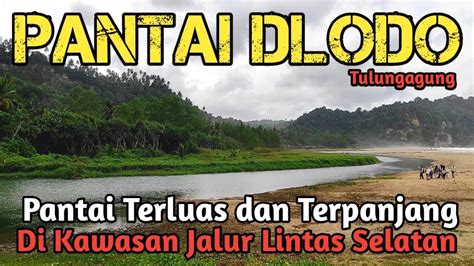 Cocok Banget Buat Camping Dan Bermain Pasir Pantai Dlodo Tulungagung