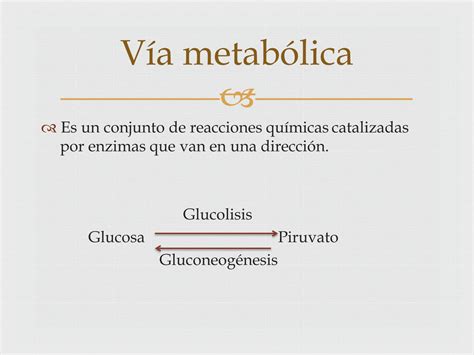 Solution Metabolismo De Carbohidratos Studypool