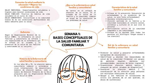 Bases Conceptuales De La Salud Familiar Y Comunitaria Karen Lizet