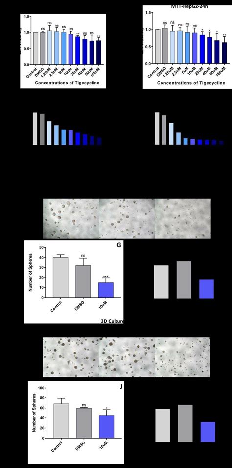 Tigecycline Induced Cytostatic Effect On Hcc Cell Lines Huh7 And Hepg2 Download Scientific