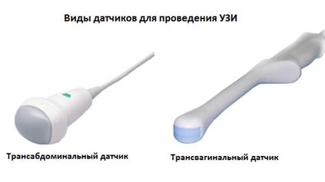 УЗИ органов малого таза: как и для чего проводят, расшифровка результатов
