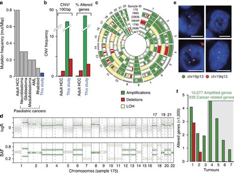 Somatic Genomic Alterations Occurring In Bsep Hccs A Average Download Scientific Diagram