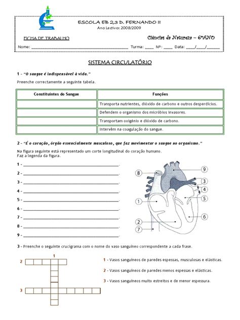 Exercícios Sobre Sistema Circulatório - Atividades sobre o Sistema Circulatório 6º Ano | PDF | Coração | Sangue