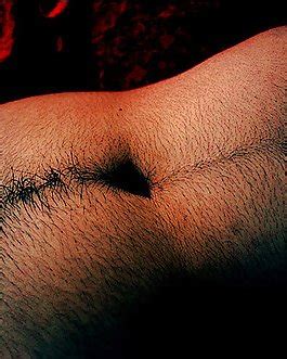 Hairy Arms Collection Porn Pictures XXX Photos Sex Images 3838580 Page 2 PICTOA