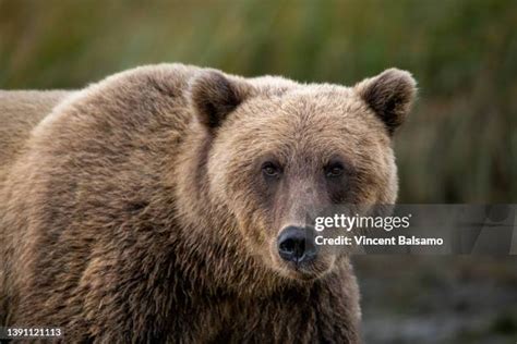 getty images